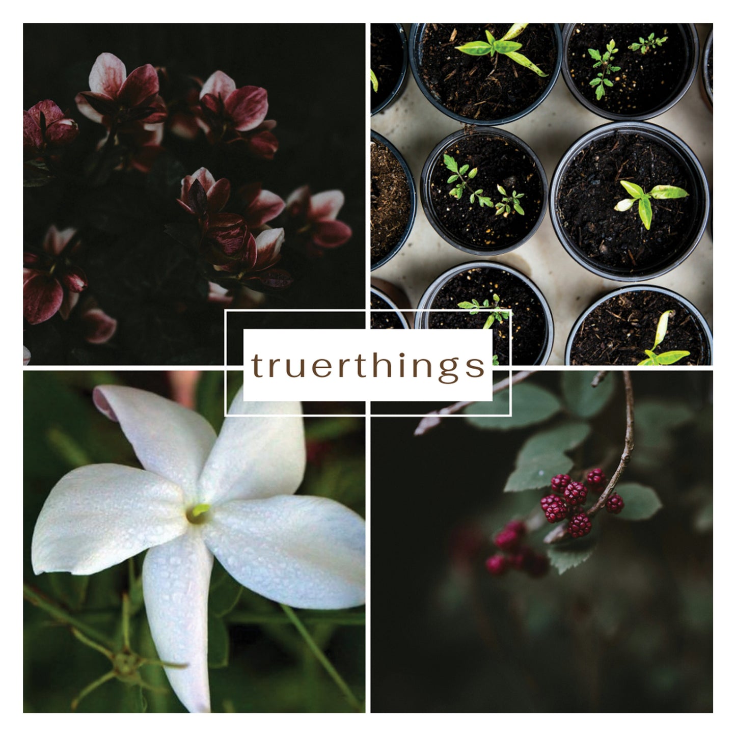 Add-On Listing By TruerThings