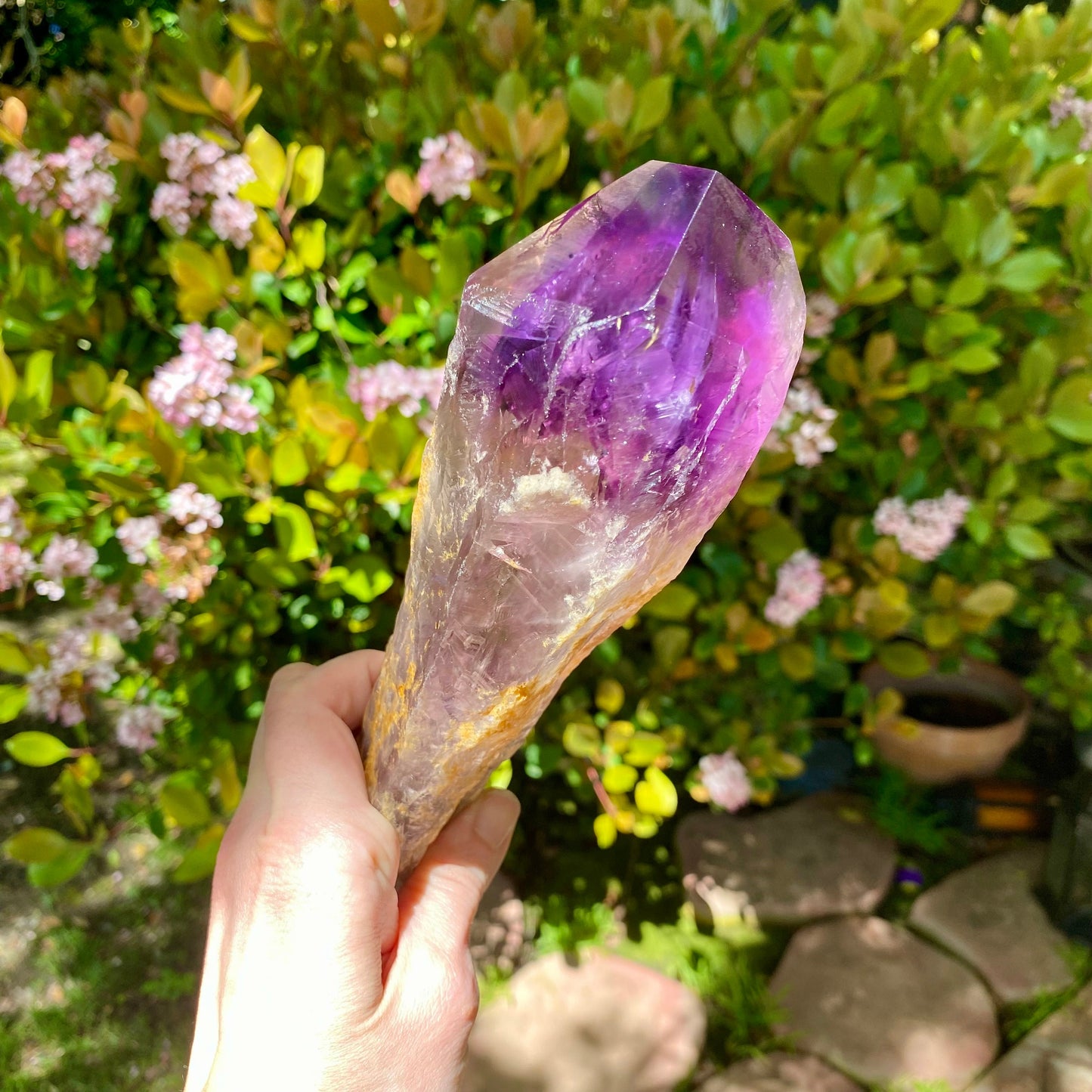 Dragons Tooth Amethyst Crystals, Raw Bahia Amethyst Root, Bahia Brazil Natural Raw Amethyst Wand Scepter Aura Cleansing Crown Chakra Healing