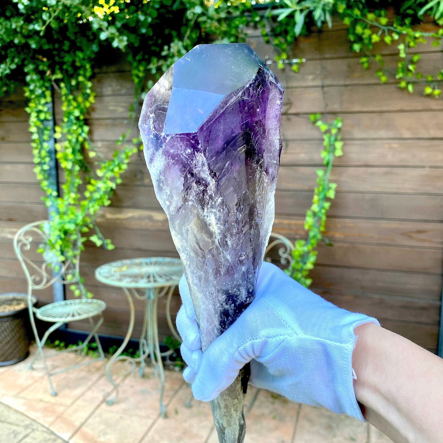 Dragons Tooth Amethyst Crystals, Raw Bahia Amethyst Root, Bahia Brazil Natural Raw Amethyst Wand Scepter Aura Cleansing Crown Chakra Healing