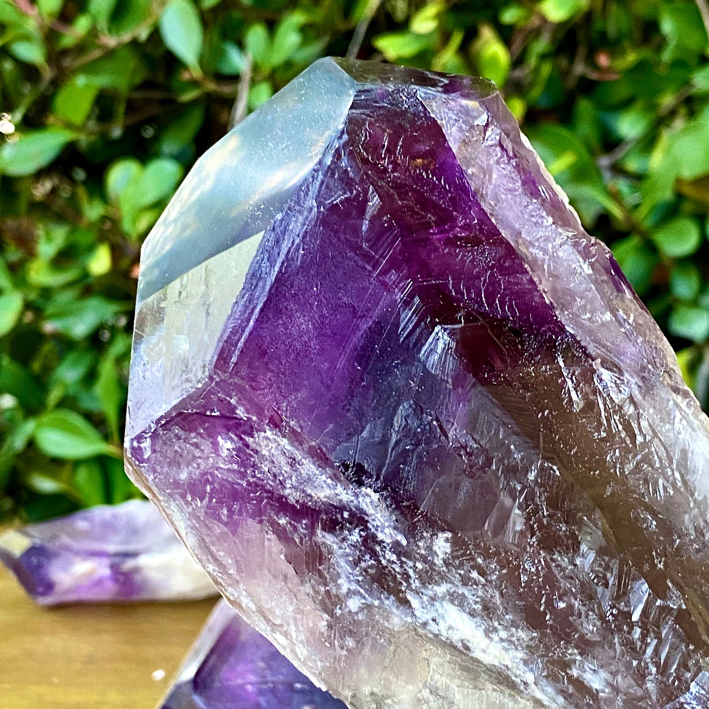 Dragons Tooth Amethyst Crystals, Raw Bahia Amethyst Root, Bahia Brazil Natural Raw Amethyst Wand Scepter Aura Cleansing Crown Chakra Healing