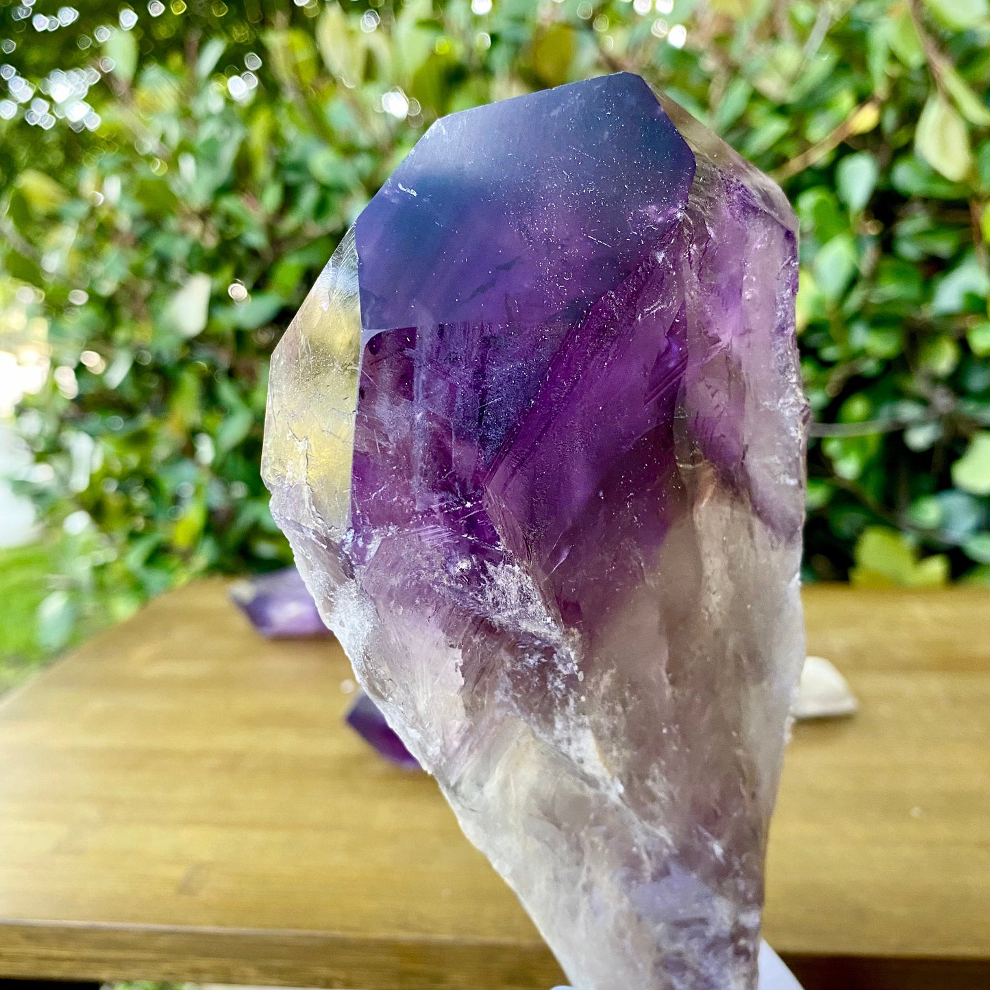 Dragons Tooth Amethyst Crystals, Raw Bahia Amethyst Root, Bahia Brazil Natural Raw Amethyst Wand Scepter Aura Cleansing Crown Chakra Healing