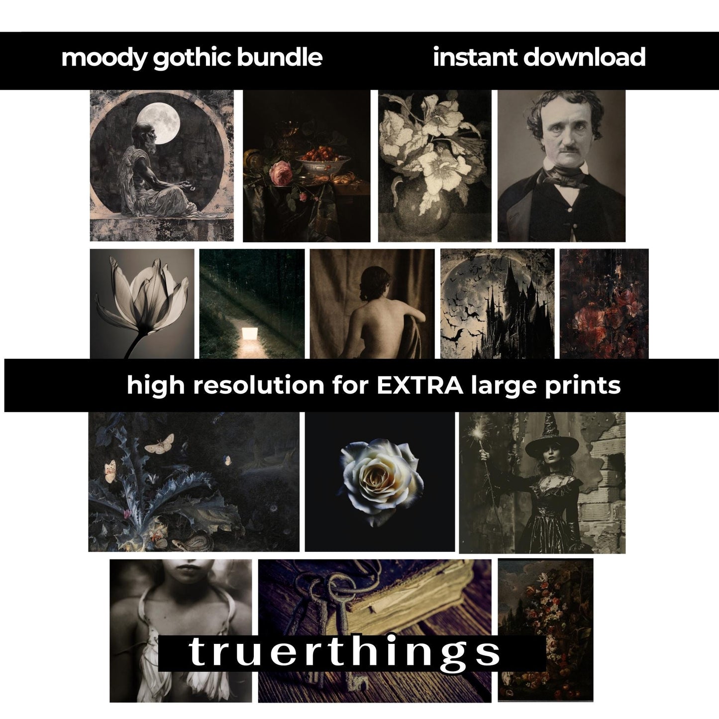 Moody Gothic Mega Bundle Gallery Wall Digital Art Halloween Victorian Digital Download Antique Prints Dark Academia Whimsigoth Moody Florals